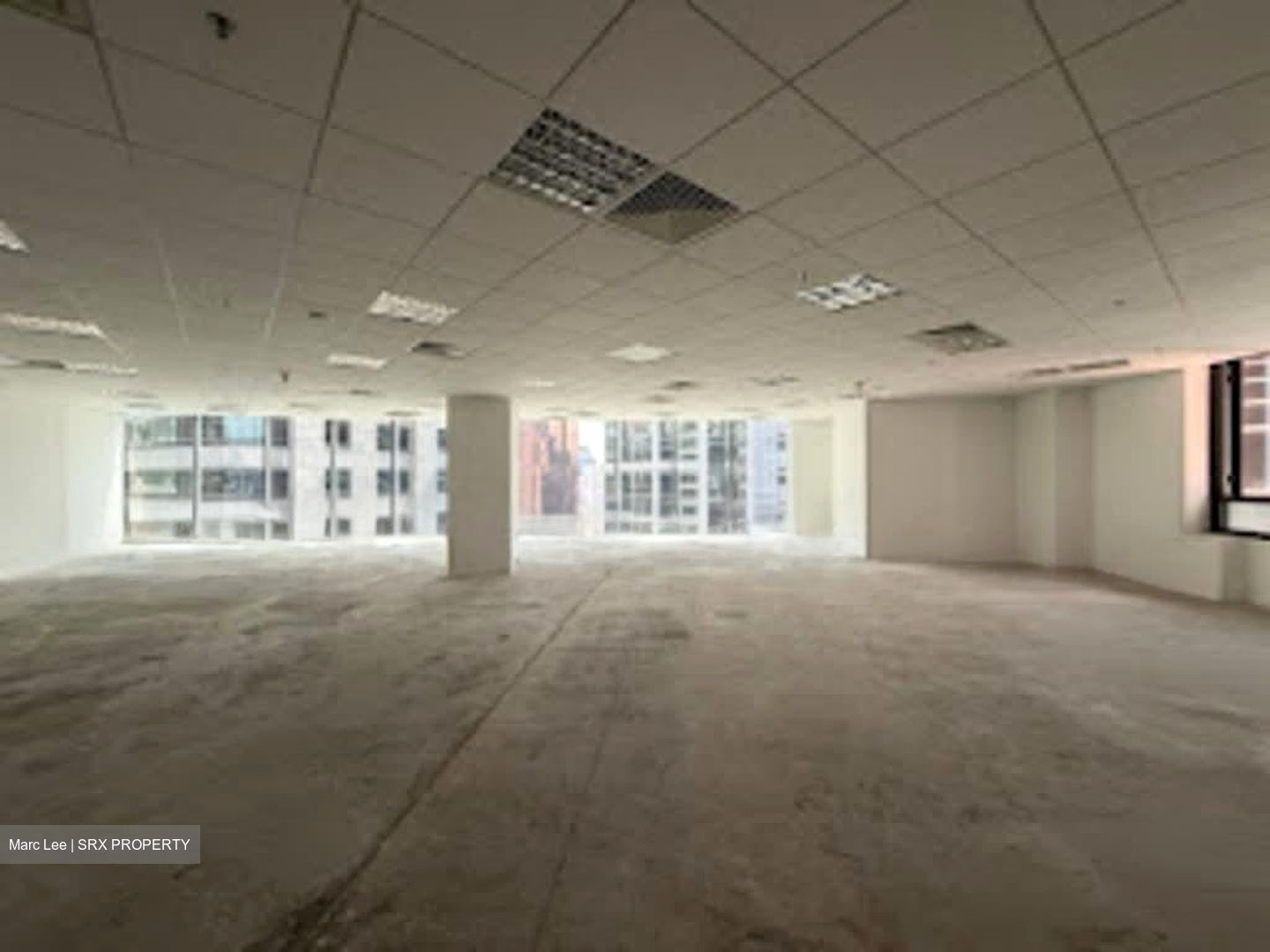 PLUS (D1), Office #559885001